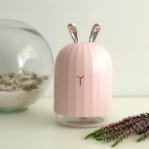 Reni pink diffuser aromatherapy essences