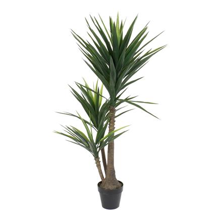 Breu plant eva pp 80x150 palm