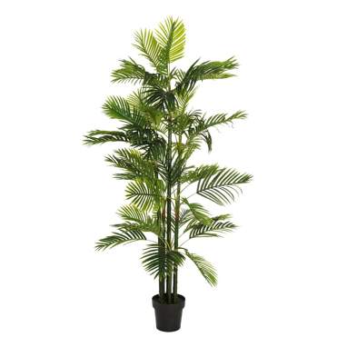 Coly planta areca palmera verd e "pvc"