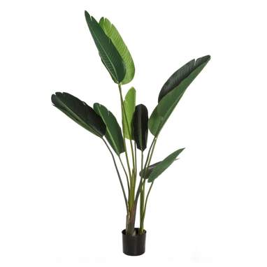 Mobi green pvc plant